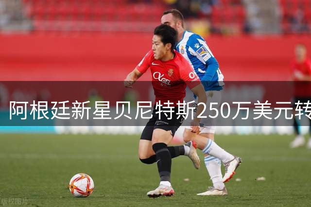 阿根廷新星贝尼特斯250万美元转会安特卫普